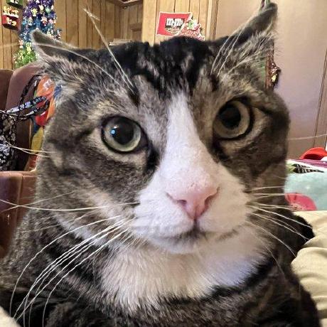 Gryczka Github - Abstract Images - Beautiful Full HD Collection