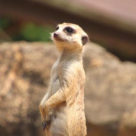 Tyler1201623 Tyler Keesee Github - Minimal Wallpaper Collection - 4K Quality