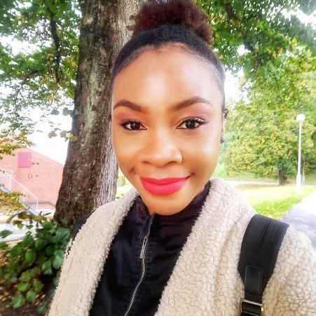 Github Vanessa Ongodi Bayes Group Project - Best Landscape Illustrations in High Resolution