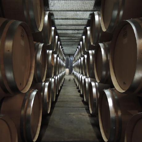 Github Junkurihara Rust Rpxy A Simple And Ultrafast Http Reverse - 8K Light Wallpapers for Desktop