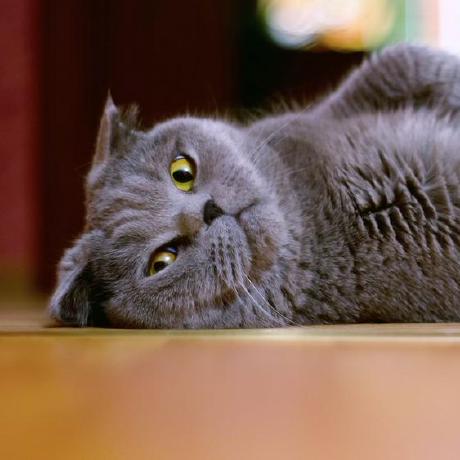 Mingyue Hub Github - Landscape Texture Collection - Ultra HD Quality