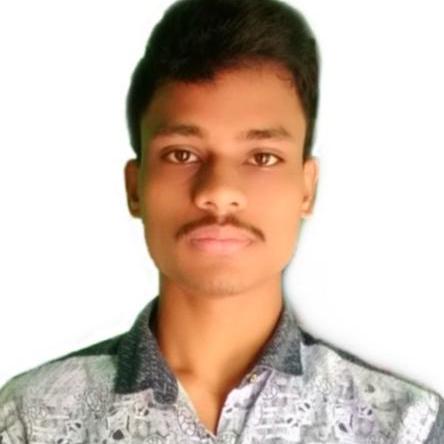 Pranoy100 Pranoy Roy Github - Nature Arts - Professional Retina Collection