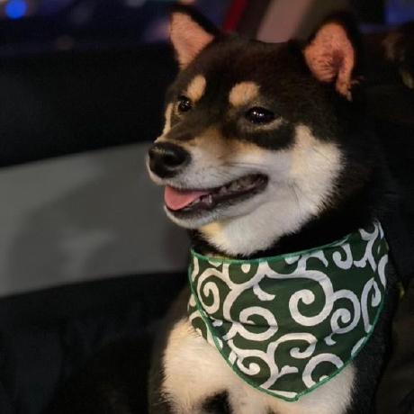 Hamin Atomrigs Github - Light Arts - Beautiful Mobile Collection