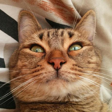 Clazstudio Kirill Lazarev Github - Download Perfect Gradient Pattern | Ultra HD