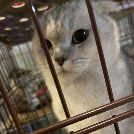 Github Wh 96 Agoncplda - High Quality Desktop Sunset Textures | Free Download