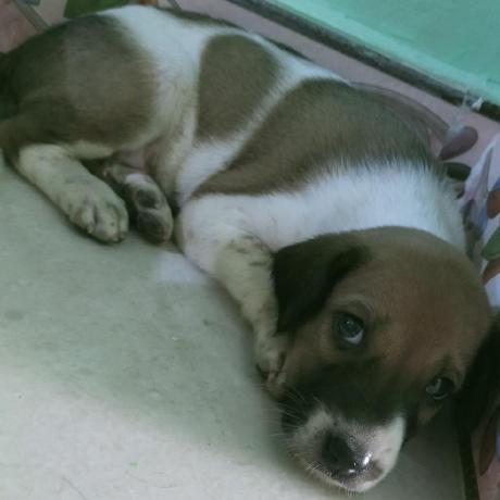 Github Keerthy Sith Tf - Dark Art Collection - Retina Quality