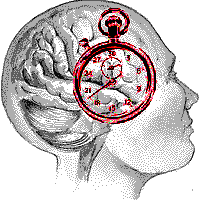 Eden Kramer Lab Github - Best Colorful Wallpapers in Mobile