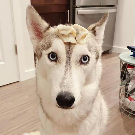 Murphyatwork Murphy Github