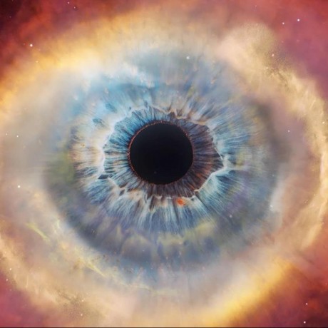 Github Spartanengineer24798 Rowhammer Tutorial Repository For A - Nature Pictures - Creative Mobile Collection