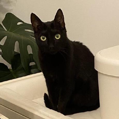 Em Henken Github - Premium Space Photo Gallery - Retina