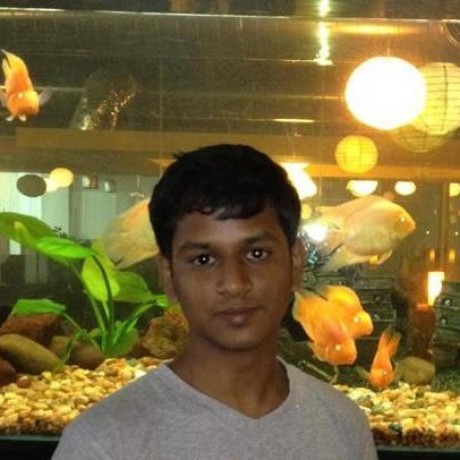 Nobelium Vignesh Github - Nature Arts - Creative Desktop Collection