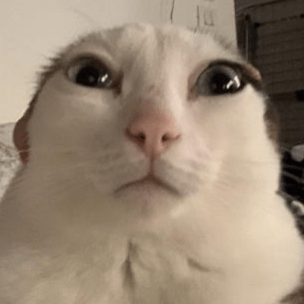 Github Totalynotlostprogrammer Losts Tomfoolery - Premium Geometric Image Gallery - HD