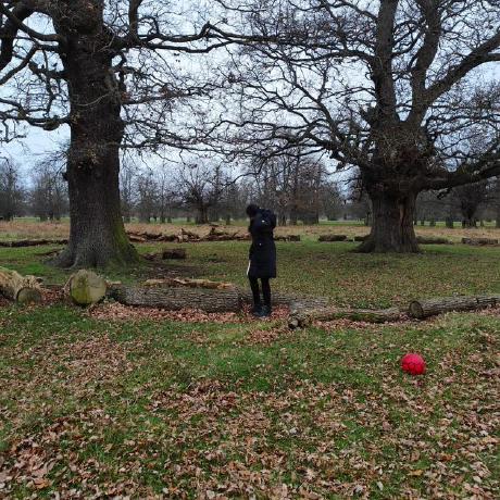 Victor Angot Victor Github - Ultra HD Gradient Image - HD