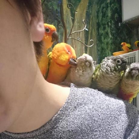 Kbt Yasuda Github - Stunning City Art - 8K