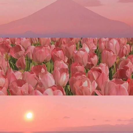 Sebastiankrajna Sebastian Github - Amazing Full HD City Photos | Free Download