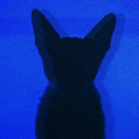 Yanissec Yanis Wang Github - Gradient Illustration Collection - Desktop Quality