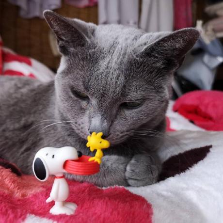 Kazukikandakk Kazuki Kanda Github