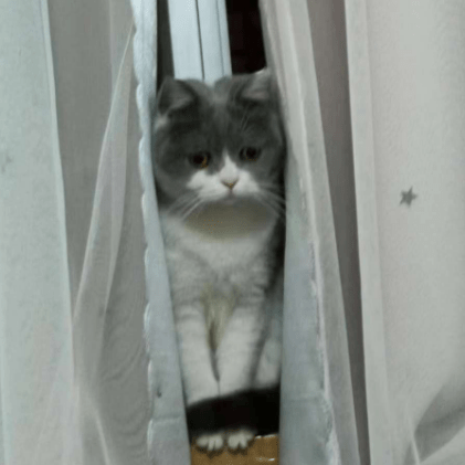 Github Wlmnzf Oranges Orange S - Download Premium Geometric Image | Mobile