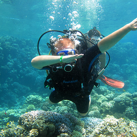 Github Mavzoleinyk Memory Info Memoru Info Program From Pascal - Download Stunning Ocean Wallpaper | Mobile