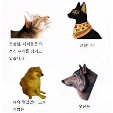 Brightfuturelearninghub Bright Future Learning Hub Github - Premium Light Texture Gallery - Desktop