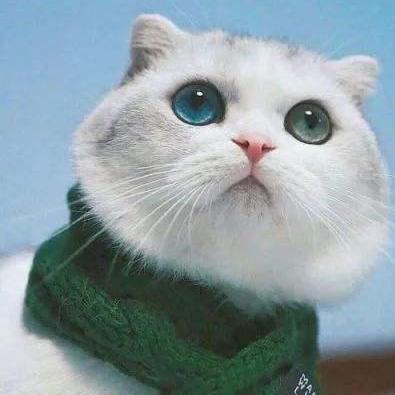 Github Asdvfghg Mnnbd - Dark Art Collection - Desktop Quality