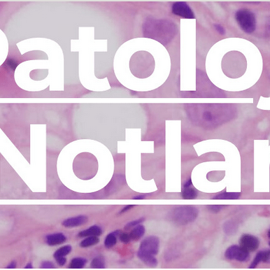 Spotlight Pathology Github - Ocean Images - Beautiful High Resolution Collection