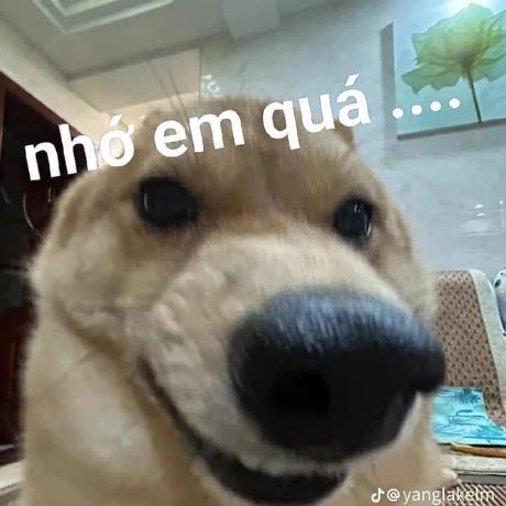 Github Nghia1408 Codeweb - Premium Minimal Illustration Gallery - High Resolution