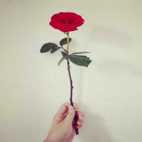 Hsienlee Ping Hsien Github - Dark Background Collection - HD Quality