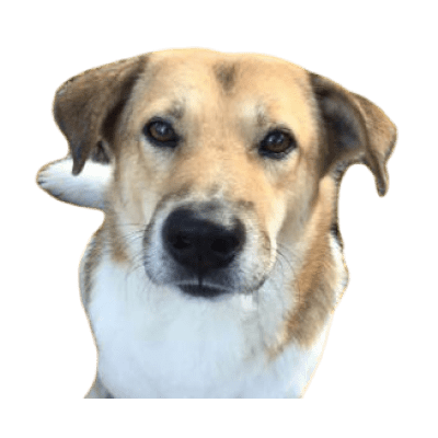 Costelacnx Costelabr Cnx Github - Sunset Image Collection - Retina Quality