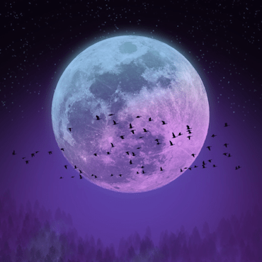 Jerrodc Jerrod Relocated See Bio Github - Download Creative Landscape Image | 4K