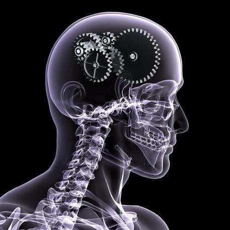 Github Sloimayyy Mcschematic Mcschematic Is A Python Package Used - Ultra HD Landscape Image - 4K