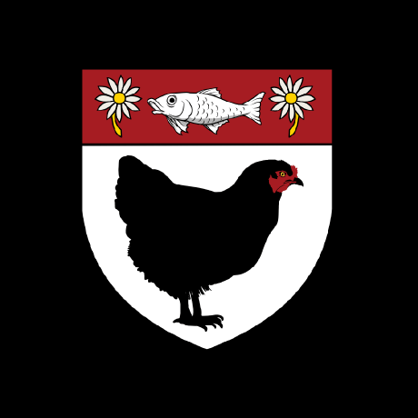 Github Wildchickenuniversity Mascot - Perfect Dark Wallpaper - 4K