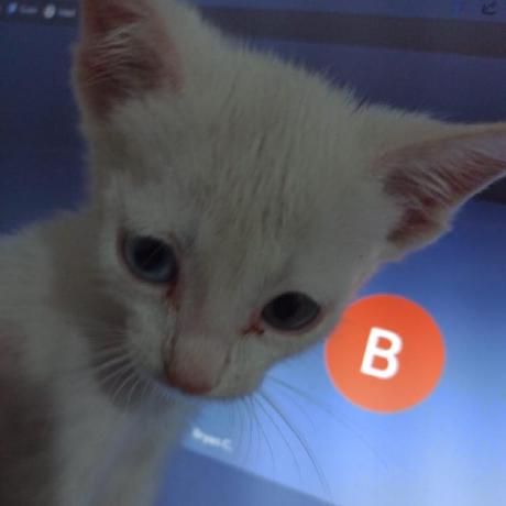 Bryanec Dev Bryan Github - Vintage Photo Collection - Ultra HD Quality