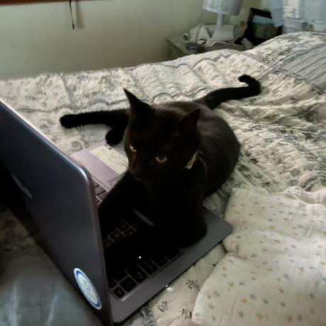 Sebaburst Sebasti N Retamales Github - Best Dark Pictures in HD