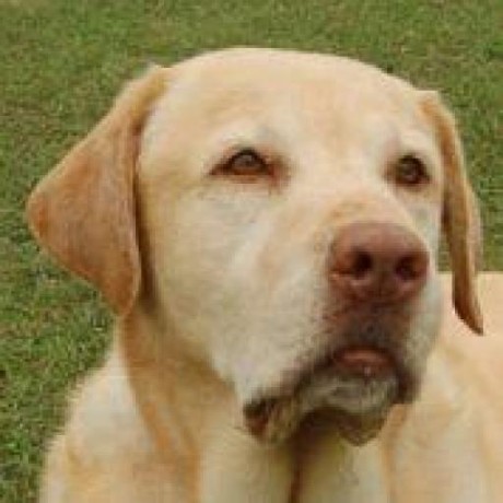 Hisashi Higuchi Github - Best Mountain Designs in Ultra HD