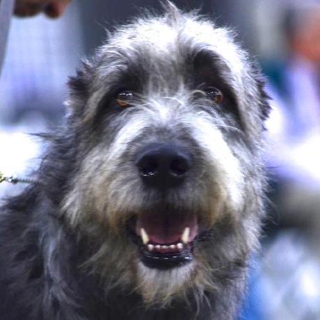 Cdemeter Christopher Demeter Github - Best Colorful Pictures in High Resolution