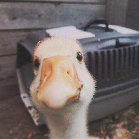 Matthewbmerino Matthew Github - Ocean Designs - Professional Mobile Collection