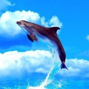 Strong Hub Strong Github - Download Beautiful Ocean Wallpaper | Retina