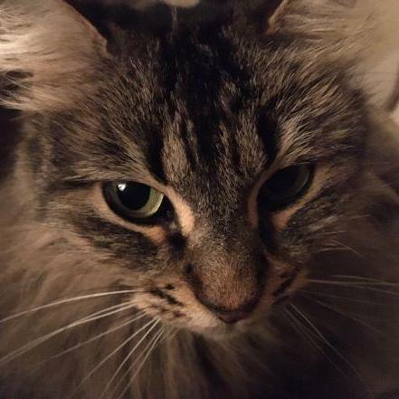 Sone Toco Sone Toco Github - Space Illustration Collection - HD Quality