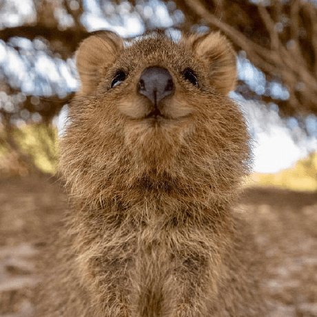 Yumin C Yumin Cheong Github - Artistic Full HD Geometric Wallpapers | Free Download