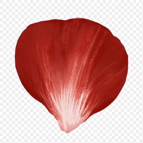 Github Rosepadmc Rosepad Custom Lilypad Qa Server Client - Stunning Minimal Texture - Mobile