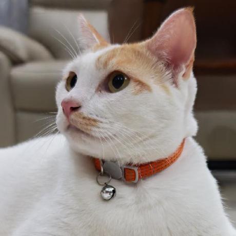 Vivienld Vivien Github - Incredible Vintage Art - 8K