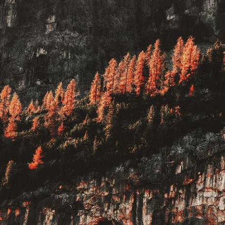 Harii1227 Hari Narayan Singh Github - Landscape Background Collection - 8K Quality