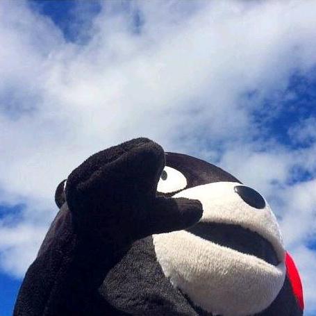 Leichorn Lew Eichorn Github - Landscape Textures - Gorgeous 4K Collection