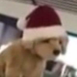 Larrytheking Larry King Github - Classic 8K City Backgrounds | Free Download