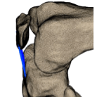 Spookyrumble Hans Marius Andreassen Github - Premium Landscape Illustration Gallery - Ultra HD