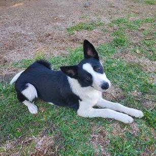 Chanwoo92 Lee Chanwoo Github - Premium Minimal Art Gallery - Ultra HD