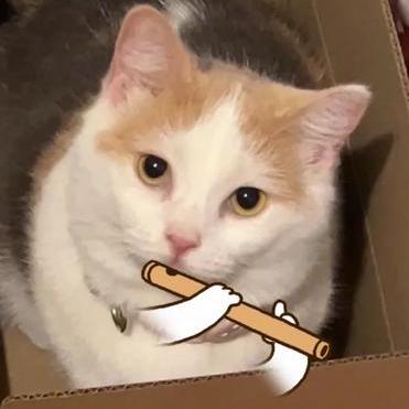 Github Mill Ornrakorn Cpe102 Computer Programming Basics Lecture And - Best Vintage Pictures in High Resolution