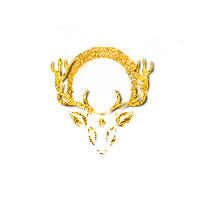 Description Issue 1 Schcat Darkforest Github - Colorful Patterns - Gorgeous Ultra HD Collection