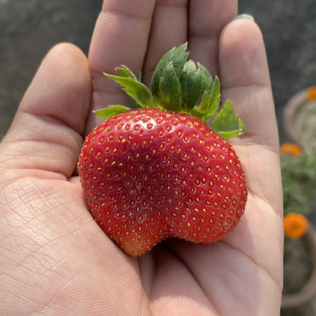 Plantbaseswap Github - Ultra HD High Resolution City Illustrations | Free Download